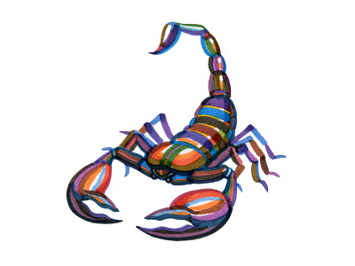 Scorpion art character color colorful drawing illustration marker skorpion