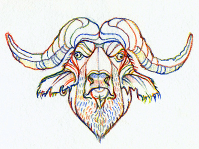 Buffalo art character color drawing illustration pencil