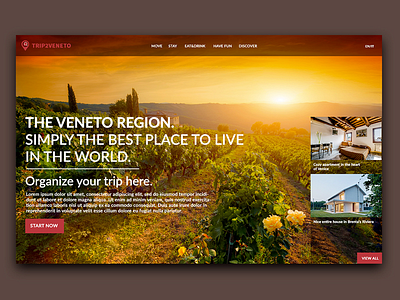 Trip2Veneto home concept