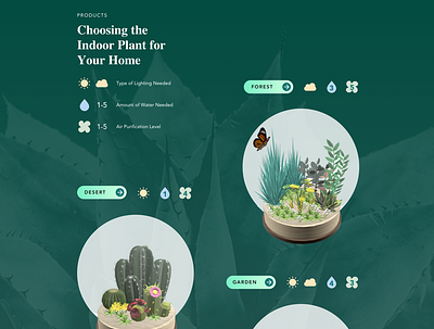 Website Design app branding design illustration logo ui ux vector web website