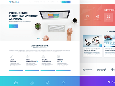 PixelBird Corporate Web Landing Page company corporate creative homepage interaction landing page layout pixelbird template ui ux website