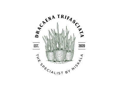 Logo Dracaena Trifasciata logo