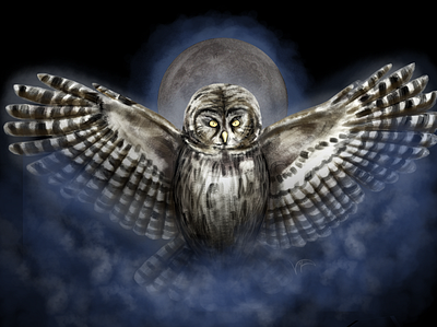 Night Owl 2d 2d illustration art branding cover art game art graphic design illustration