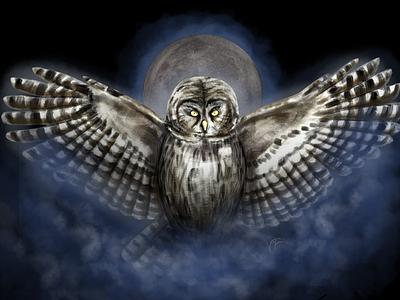 Night Owl