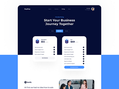 Pricing Website Page