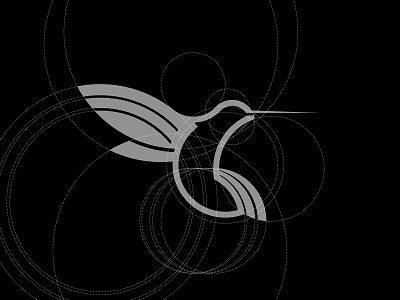 Hummingbird in process branding design designer golden ratio graphic design hummingbird illustration logo logo mark minimalistic process simple symbol ui ux vector