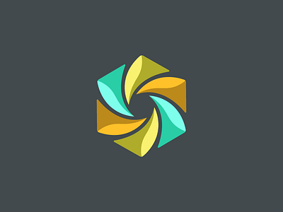 CM3 constant flower geometric icon logo mark monogram movement web
