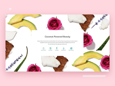 Kopari Beauty - Coconut Powered Beauty about page aboutus avocado beauty coconut cosmetics ecommerce icons ingredients lavender natural rose web