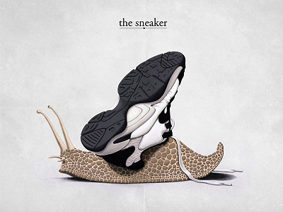 The Sneaker art illustration mollusc pencil snail sneaker surreal trainer
