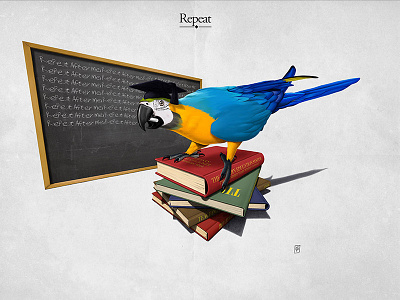 Repeat bird books colour education illustration parrot repeat school