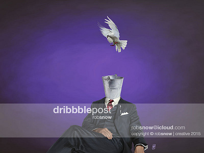 Capture avian bird business businessman capture dove fly formal man shit suit tie