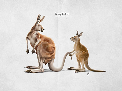 Being Tailed animal australia baby follow fur hopping joey kangaroo legs mammal marsupial tail