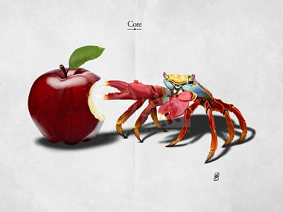 Core apple bite claw computer core crab crustacean pincer red sally lightfoot sea life shell