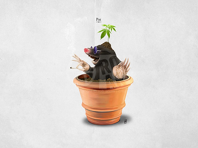 Pot animal cannabis joint marijuana mole plant pot rodent smoking spliff vase weed