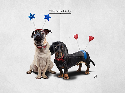 Whats The Deely? animal collar companion dachshund deely bopper dog heart pet pug sausage dog star tail