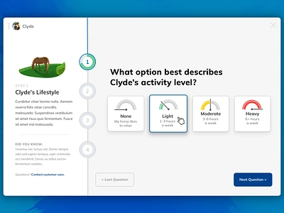 Supplement Wizard Concept app design horse quiz ui ux website wizard