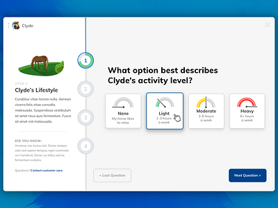 Supplement Wizard Concept app design horse quiz ui ux website wizard