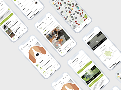 Doguniversity App Design