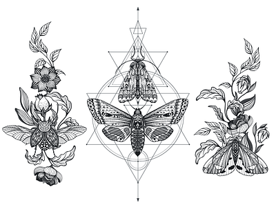 Sacred Geometry, Magic Insects butterfly design flower geometry graphic design illustration insect magic moth nature sacral tattoo art vector