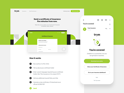 Trym certificate touchpoint brand cover email geometric insurance landing layout web web design
