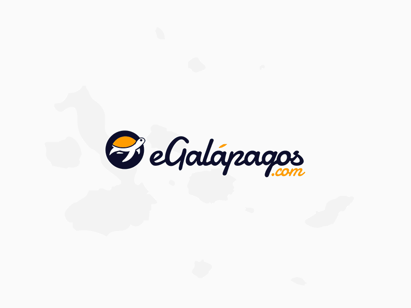 eGgalapagos case study boat booking branding cruise listing responsive simple ui