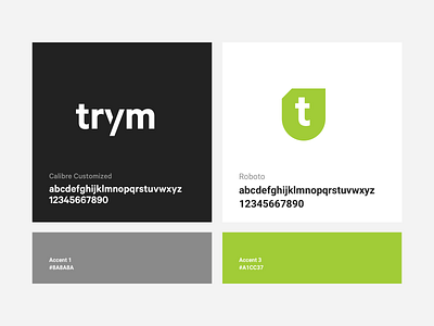 Trym branding brand branding colors exploration identity logo typography