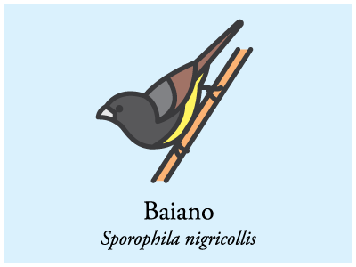 Baiano bird brazil icon illustration vector