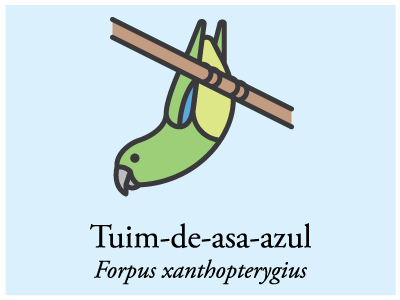 Tuim-de-asa-azul bird brazil icon illustration vector