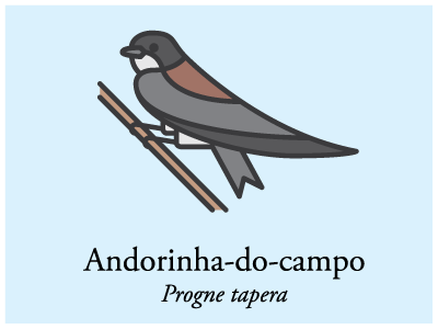 Andorinha-do-campo bird brazil icon illustration vector