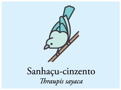 Sanhaçu-cinzento bird brazil icon illustration vector