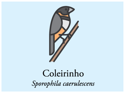 Coleirinho bird brazil icon illustration vector