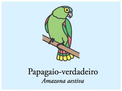 Papagaio Verdadeiro bird brazil icon illustration vector