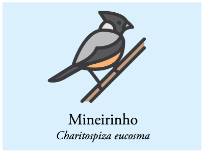 Mineirinho bird brazil icon illustration vector