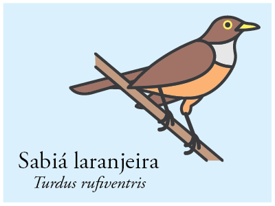Sabiá-laranjeira bird brazil icon illustration vector