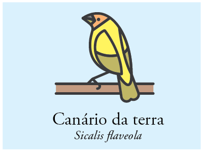 Canário-da-terra bird brazil icon illustration vector