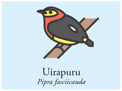 Uirapuru bird brazil icon illustration vector
