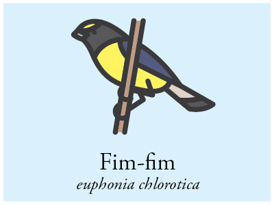 Fim-fim bird brazil icon illustration vector