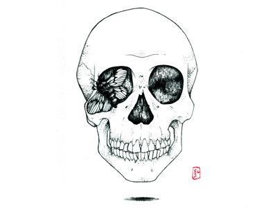 Skull