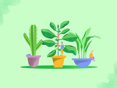 Plant And Flower