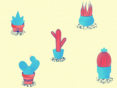Cactus Fun art cactus color design fun illustration pattern plant texture