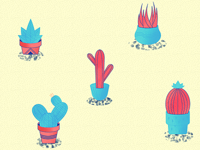 Cactus Fun