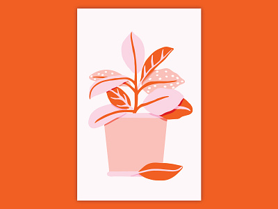 Rubber Plant illustrated leaf nature nature illustration orange pink plant plant based plant illustration pot potted plant rubber rubber plant