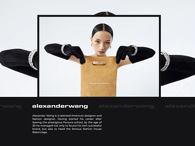 Alexanderwang — E-commerce Redesign. Preview