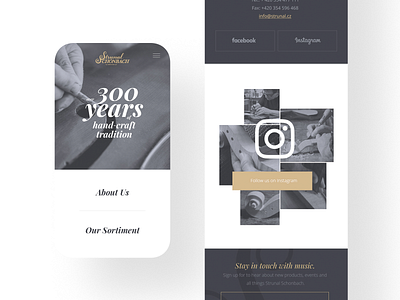 Strunal Schönbach / Mobile bass buracinsky digital homepage instruments lubos mobile music strunal supersonic ui unicorn user experience ux violin
