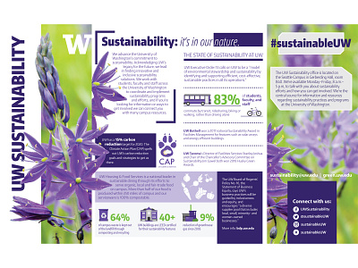 UW Sustainability Brochure design graphic design vector