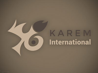 Karem International branding design graphic design illustration logo