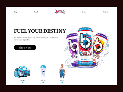 Drink Website Design: Landing Page