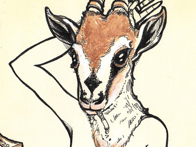 gazelle gazelle gold ink just sketch