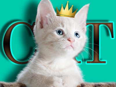 A cat with a crown branding cat cat design cats crown design graphic design illustration letters logo typography ui ux vector