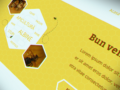 Apiardeal - Website Header apiculture bee bees honey honeycomb website